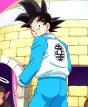 Dragon Ball Z Goku Blue Tracksuit