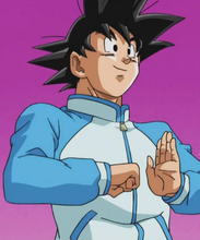Dragon Ball Z Goku Blue Tracksuit