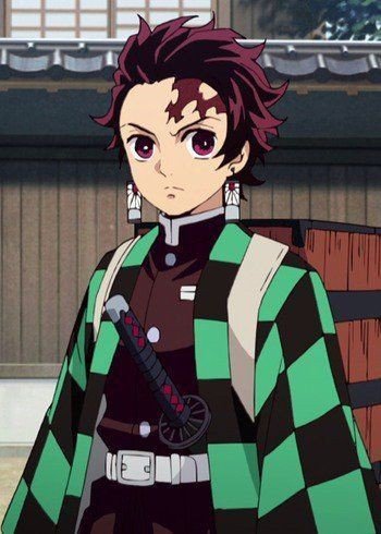 Demon Slayer Tanjirou Checked Jacket